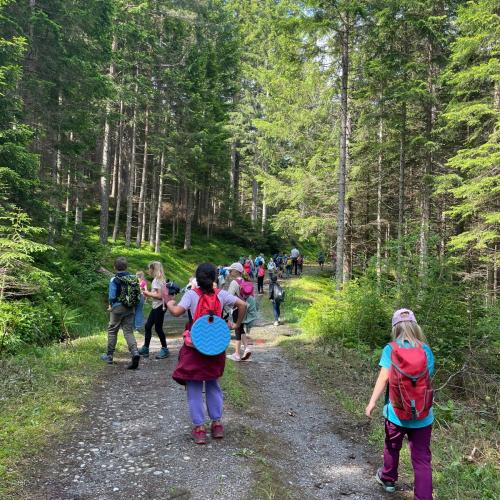 am Weg in den Wald