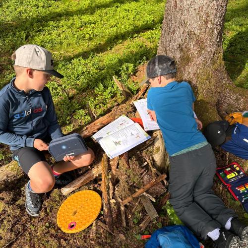 ... Wurzel als Tisch