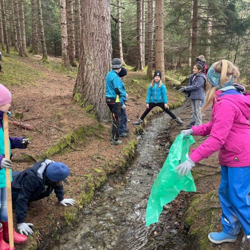 im Wald wird gesammelt