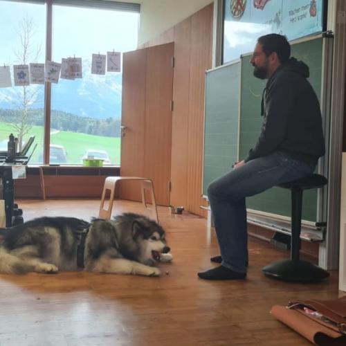 Hund