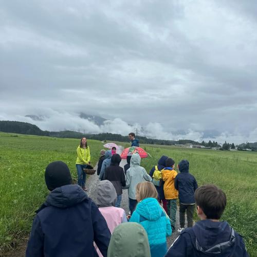 Kräuterwanderung